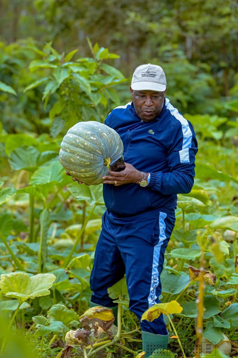 Burundi’s Agricultural Heartbeat: A Leader’s Hands-On Drive to Feed Its People