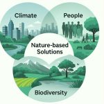 Nature-based Solutions can fix the planet, but only if we embrace them fully