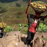 DFC Announces Strategic Investment to Stabilize and Expand Food Security in Africa
