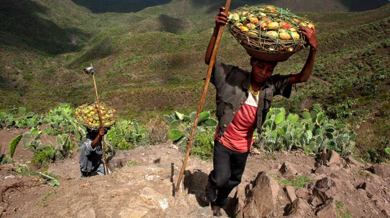 DFC Announces Strategic Investment to Stabilize and Expand Food Security in Africa