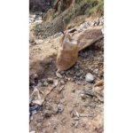 Rutsiro Tragedy: Three Illegal Miners Die of Suffocation in Closed Mining Site