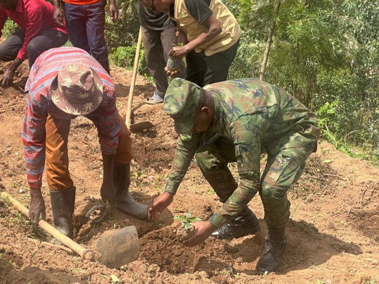 Nyamagabe Coffee Farmers Welcome New Seedlings as NAEB Urges Adoption of Modern Farming Practices