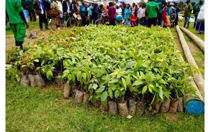 Kigali Serena Hotel Plants 7,500 Trees Across Rwanda to Promote Environmental Conservation and Nutrition