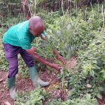 Rooted in Community: How Local Leadership Is Driving Sustainable Restoration in Rwanda’s Lake Kivu Region
